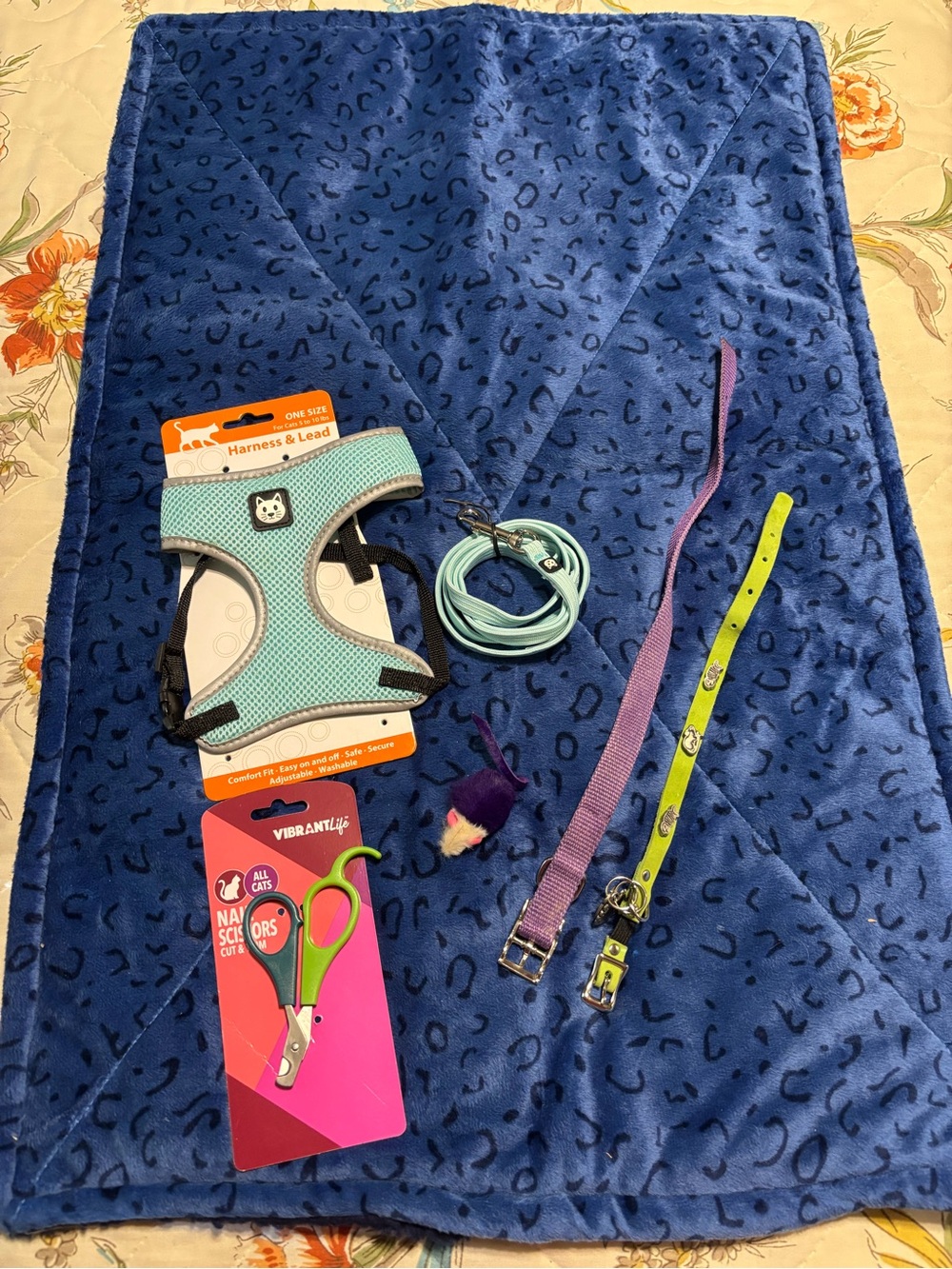 Lot of cat accessories